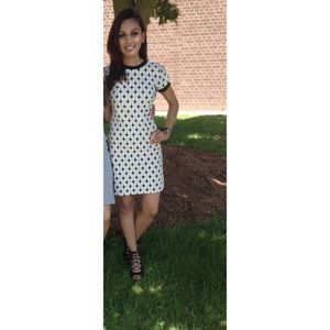 Zara crew neck dress